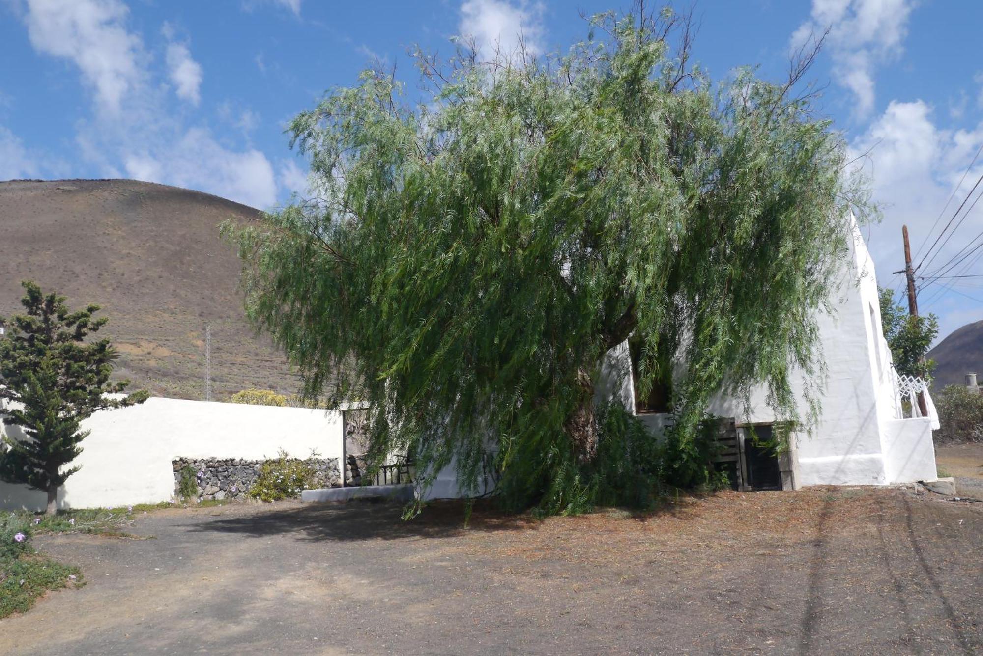 MáguezCasa Olga别墅 外观 照片