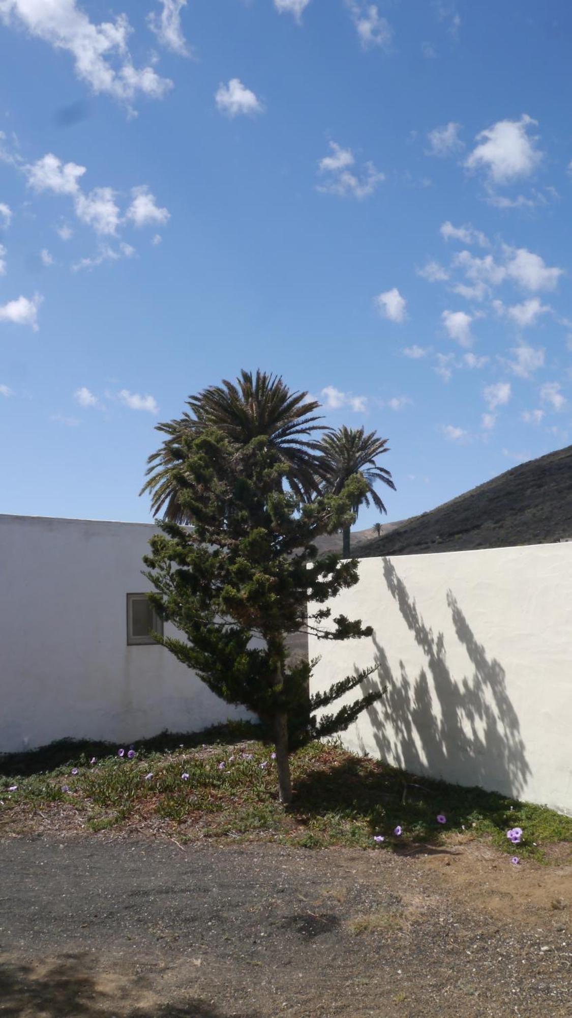 MáguezCasa Olga别墅 外观 照片